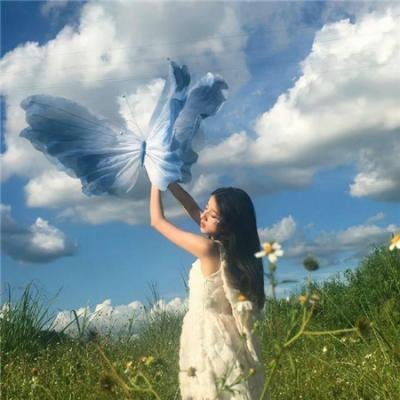蓝兰岛漂流记